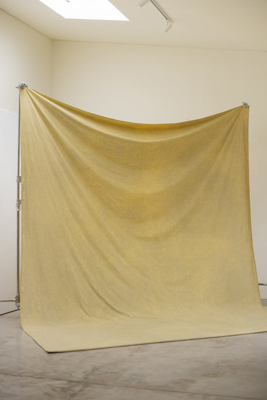 [3x4.75m] Cotton Backdrop Sulphur Yellow